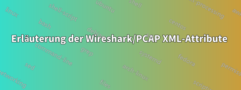 Erläuterung der Wireshark/PCAP XML-Attribute