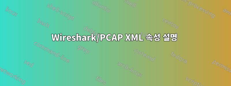 Wireshark/PCAP XML 속성 설명