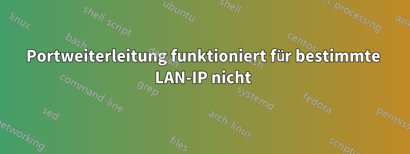 Portweiterleitung funktioniert für bestimmte LAN-IP nicht