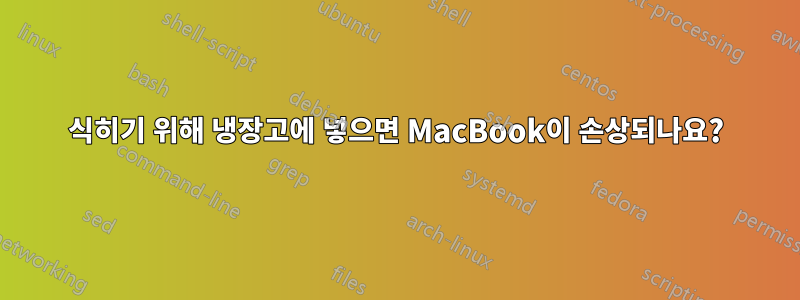 식히기 위해 냉장고에 넣으면 MacBook이 손상되나요?