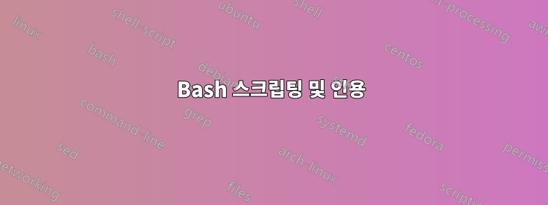 Bash 스크립팅 및 인용