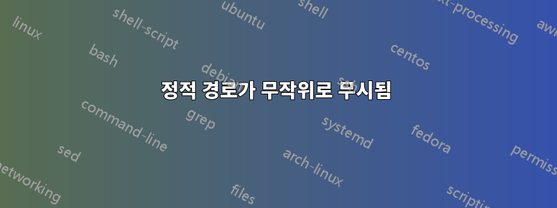 정적 경로가 무작위로 무시됨