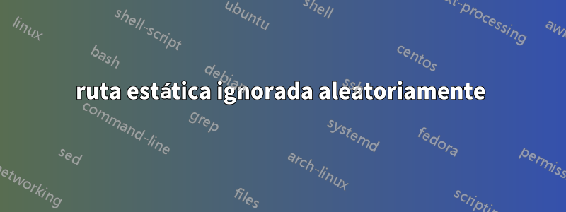 ruta estática ignorada aleatoriamente