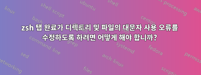 zsh 탭 완료가 디렉토리 및 파일의 대문자 사용 오류를 수정하도록 하려면 어떻게 해야 합니까?