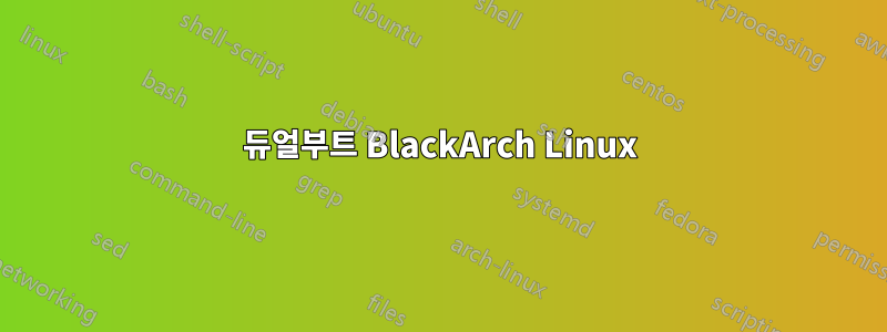 듀얼부트 BlackArch Linux