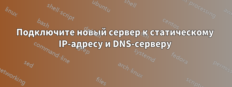 Подключите новый сервер к статическому IP-адресу и DNS-серверу