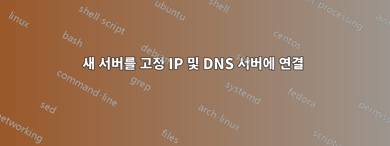 새 서버를 고정 IP 및 DNS 서버에 연결