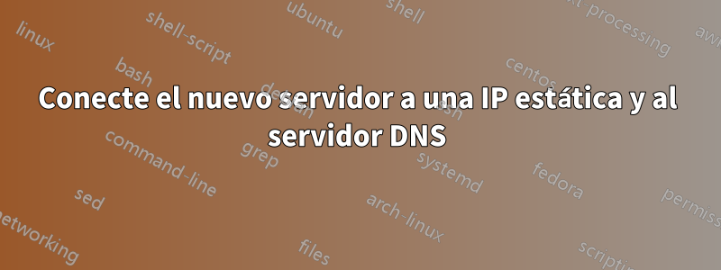 Conecte el nuevo servidor a una IP estática y al servidor DNS