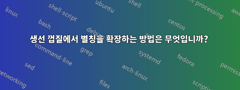 생선 껍질에서 별칭을 확장하는 방법은 무엇입니까?