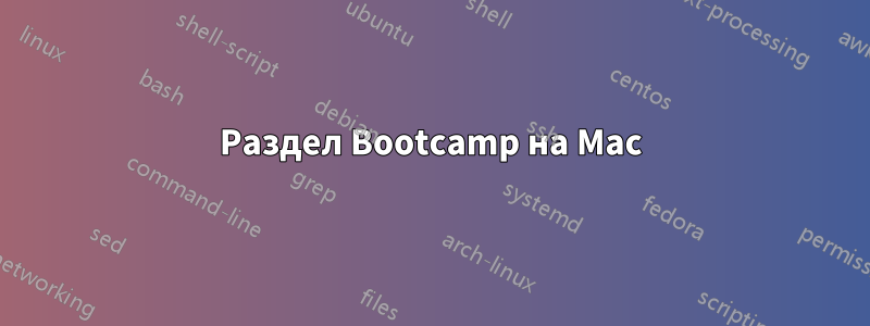 Раздел Bootcamp на Mac