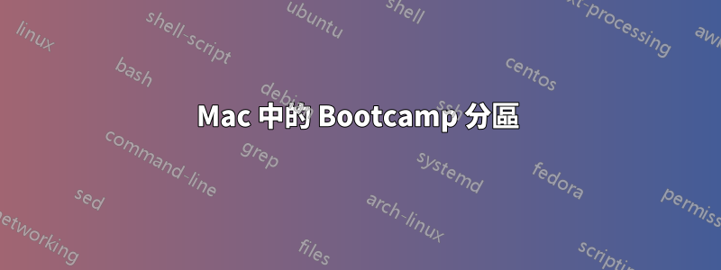 Mac 中的 Bootcamp 分區