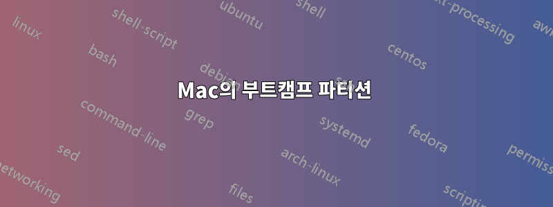 Mac의 부트캠프 파티션