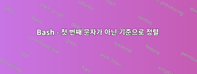 Bash - 첫 번째 문자가 아닌 기준으로 정렬