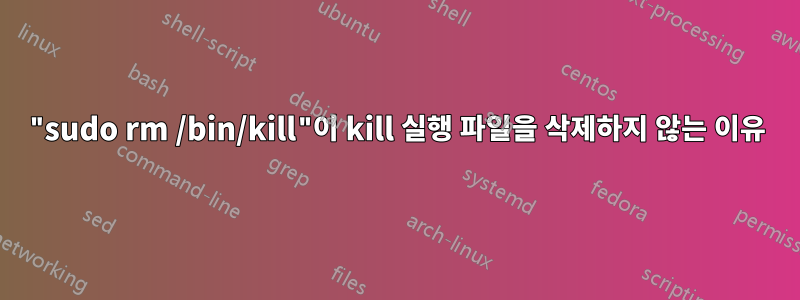 "sudo rm /bin/kill"이 kill 실행 파일을 삭제하지 않는 이유