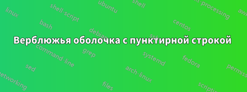 Верблюжья оболочка с пунктирной строкой