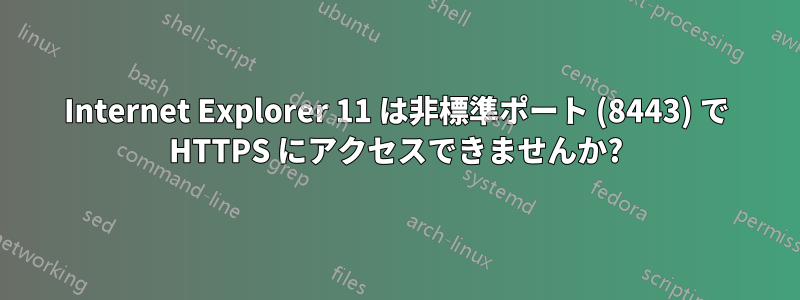 Internet Explorer 11 は非標準ポート (8443) で HTTPS にアクセスできませんか?