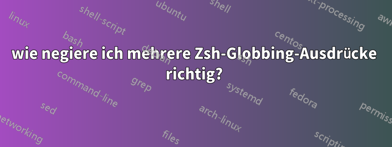 wie negiere ich mehrere Zsh-Globbing-Ausdrücke richtig?