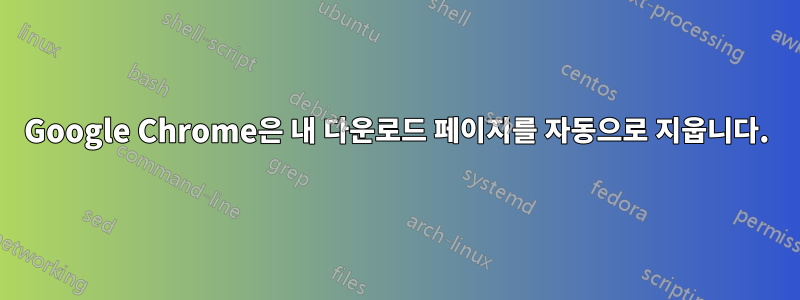 Google Chrome은 내 다운로드 페이지를 자동으로 지웁니다.