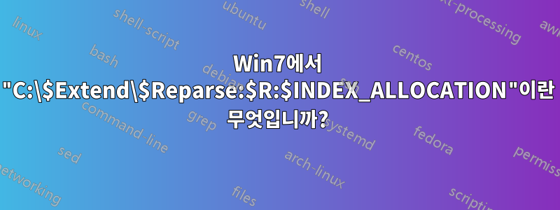 Win7에서 "C:\$Extend\$Reparse:$R:$INDEX_ALLOCATION"이란 무엇입니까?