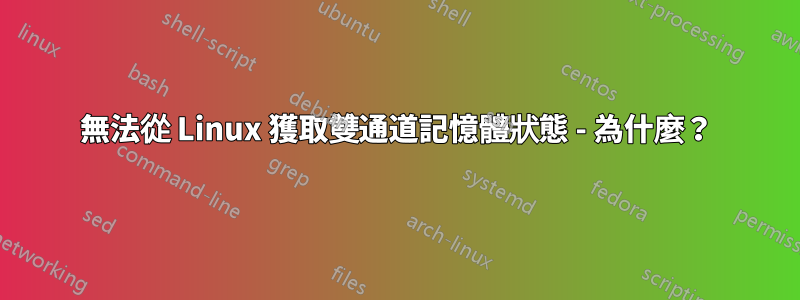 無法從 Linux 獲取雙通道記憶體狀態 - 為什麼？