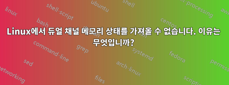 Linux에서 듀얼 채널 메모리 상태를 가져올 수 없습니다. 이유는 무엇입니까?