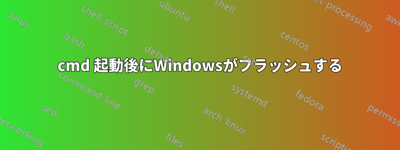 2 cmd 起動後にWindowsがフラッシュする