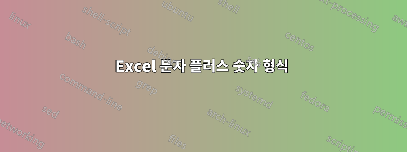 Excel 문자 플러스 숫자 형식