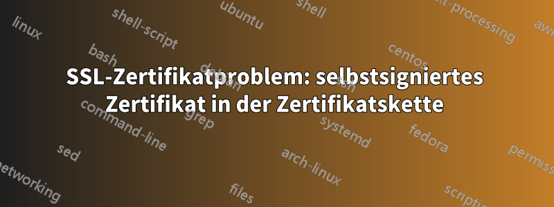 SSL-Zertifikatproblem: selbstsigniertes Zertifikat in der Zertifikatskette