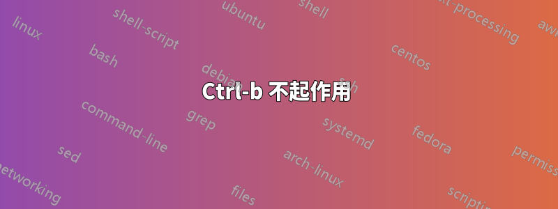 Ctrl-b 不起作用