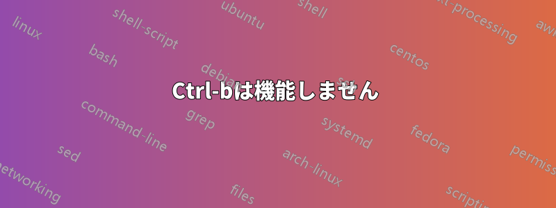 Ctrl-bは機能しません