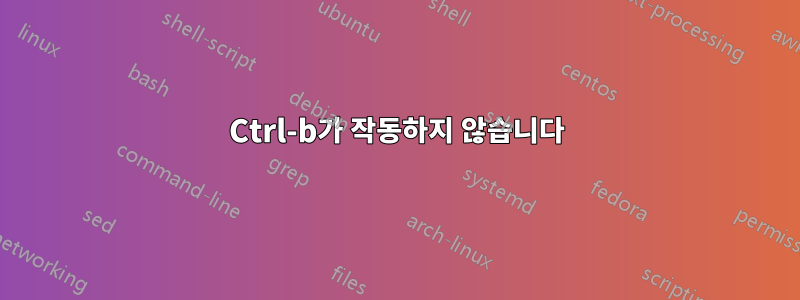 Ctrl-b가 작동하지 않습니다