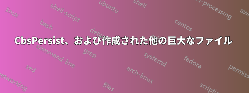 CbsPersist、および作成された他の巨大なファイル