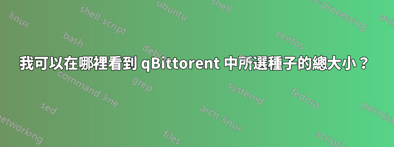 我可以在哪裡看到 qBittorent 中所選種子的總大小？