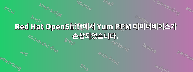 Red Hat OpenShift에서 Yum RPM 데이터베이스가 손상되었습니다.