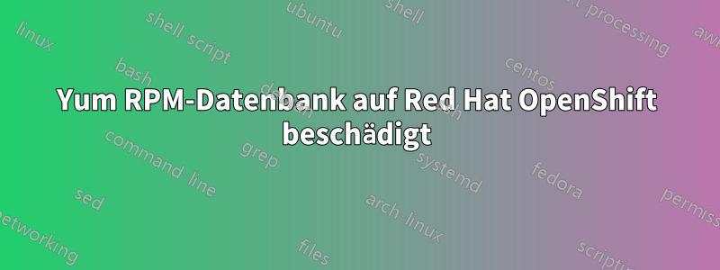Yum RPM-Datenbank auf Red Hat OpenShift beschädigt