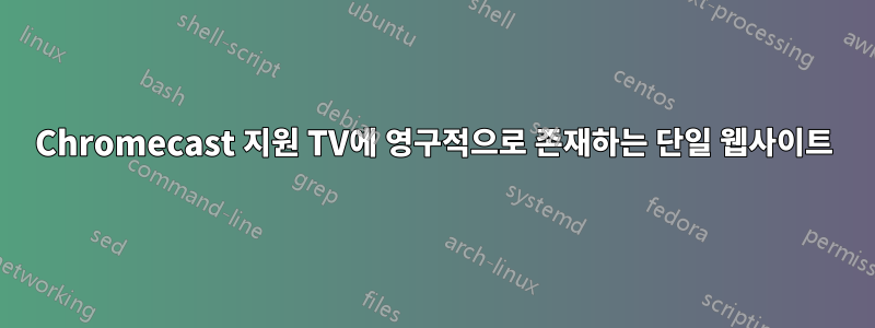 Chromecast 지원 TV에 영구적으로 존재하는 단일 웹사이트