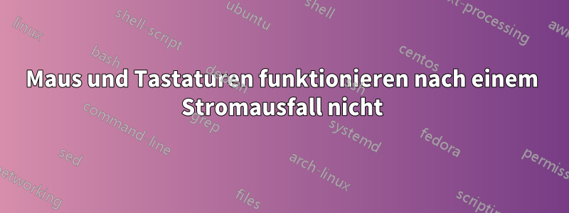 Maus und Tastaturen funktionieren nach einem Stromausfall nicht