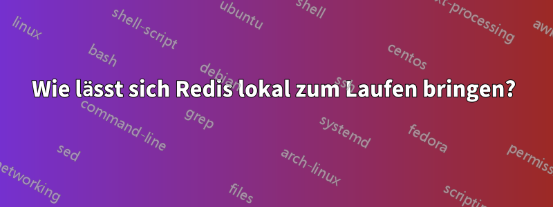 Wie lässt sich Redis lokal zum Laufen bringen?