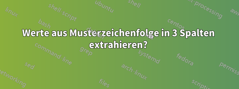 Werte aus Musterzeichenfolge in 3 Spalten extrahieren?