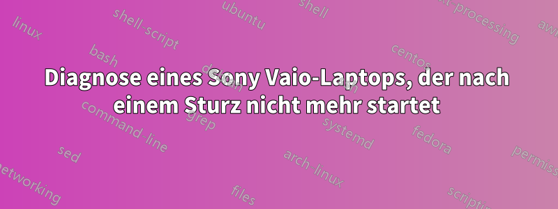 Diagnose eines Sony Vaio-Laptops, der nach einem Sturz nicht mehr startet