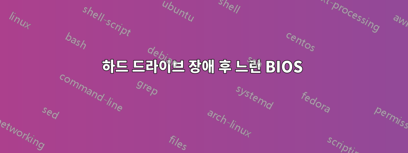 하드 드라이브 장애 후 느린 BIOS