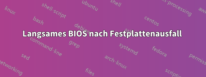 Langsames BIOS nach Festplattenausfall