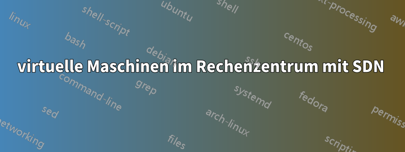 virtuelle Maschinen im Rechenzentrum mit SDN