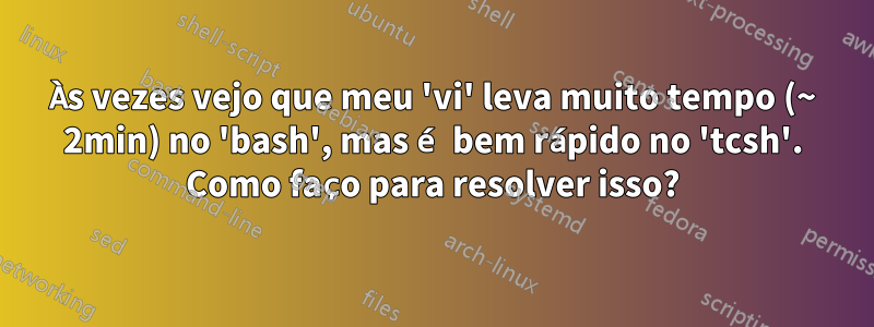 Às vezes vejo que meu 'vi' leva muito tempo (~ 2min) no 'bash', mas é bem rápido no 'tcsh'. Como faço para resolver isso?