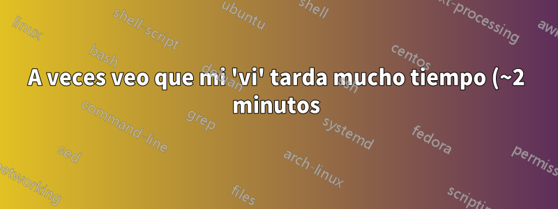 A veces veo que mi 'vi' tarda mucho tiempo (~2 minutos) en 'bash', pero es bastante rápido en 'tcsh'. ¿Cómo resuelvo esto?