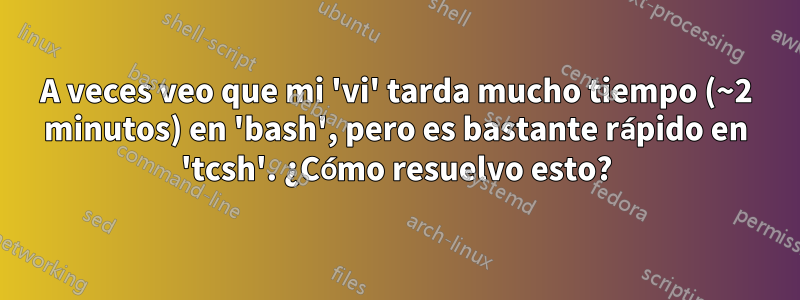 A veces veo que mi 'vi' tarda mucho tiempo (~2 minutos) en 'bash', pero es bastante rápido en 'tcsh'. ¿Cómo resuelvo esto?