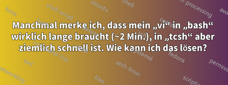 Manchmal merke ich, dass mein „vi“ in „bash“ wirklich lange braucht (~2 Min.), in „tcsh“ aber ziemlich schnell ist. Wie kann ich das lösen?