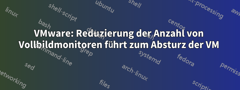 VMware: Reduzierung der Anzahl von Vollbildmonitoren führt zum Absturz der VM