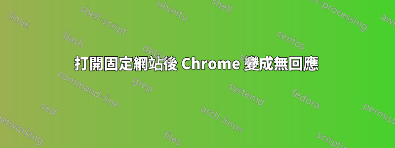 打開固定網站後 Chrome 變成無回應