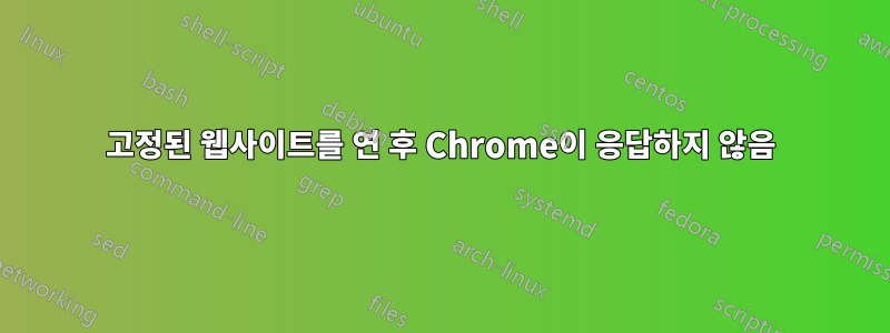 고정된 웹사이트를 연 후 Chrome이 응답하지 않음